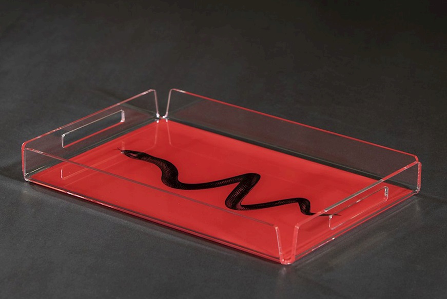 Tray Like Water Red Snake Vesta