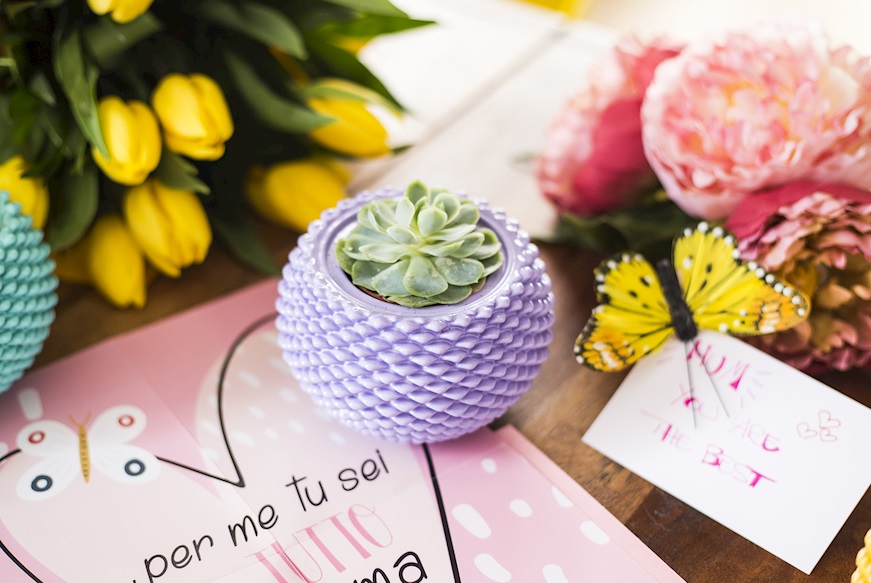 Vase with plant lilac Selezione Zanolli